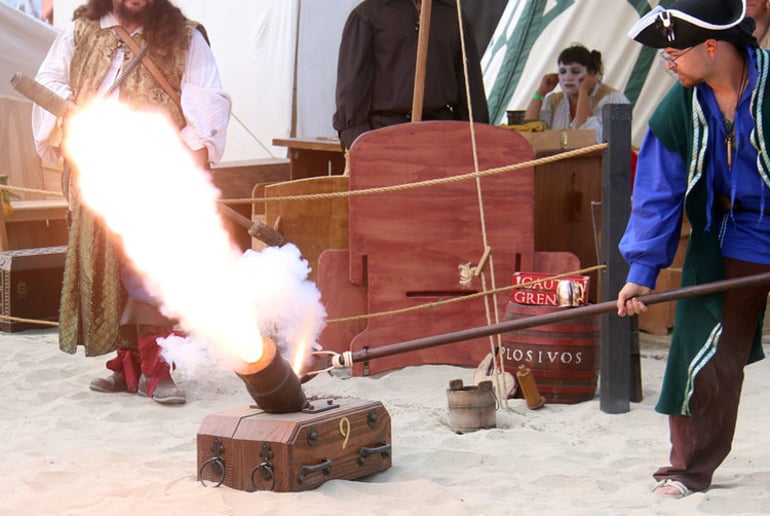 Gallery photo 2 of Royal French Privateers of Clan Darksail