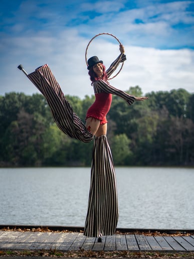 Gallery photo 4 of Royal Rouge Circus