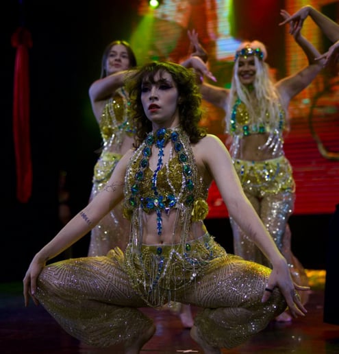 Gallery photo 3 of RS Show Entertainment