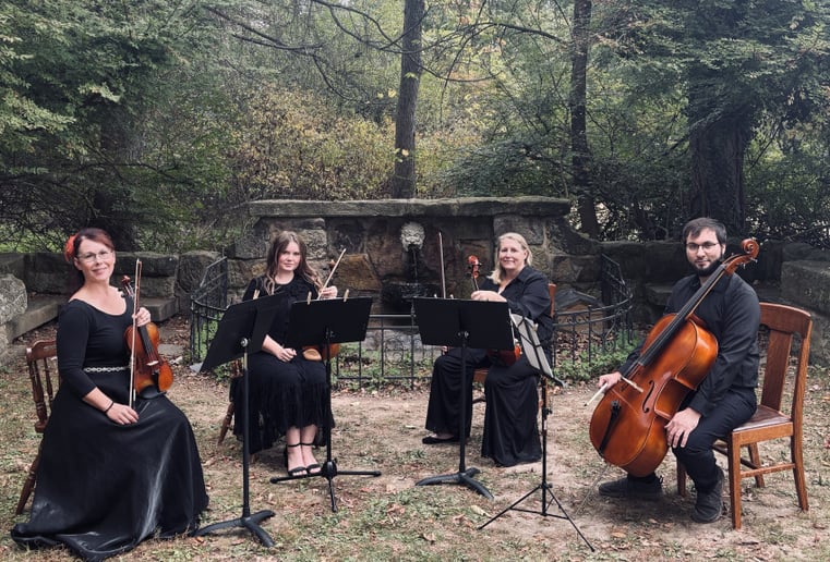 Gallery photo 1 of Resonant Strings