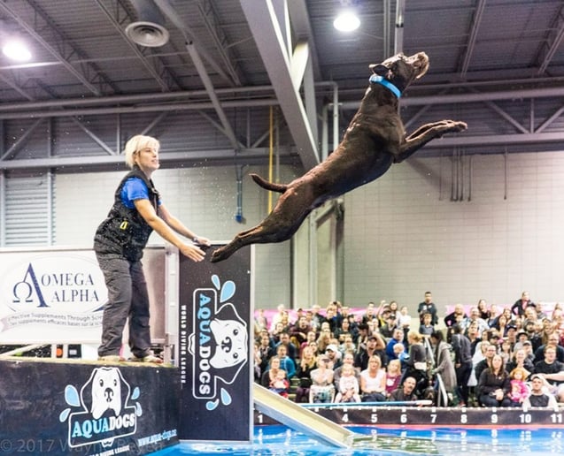 Gallery photo 2 of RuffSport