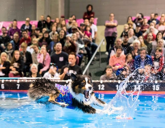 Gallery photo 4 of RuffSport