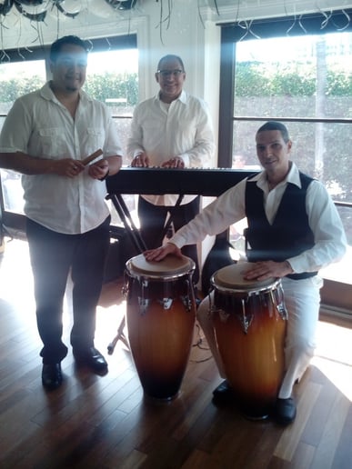 Gallery photo 9 of Rumba King