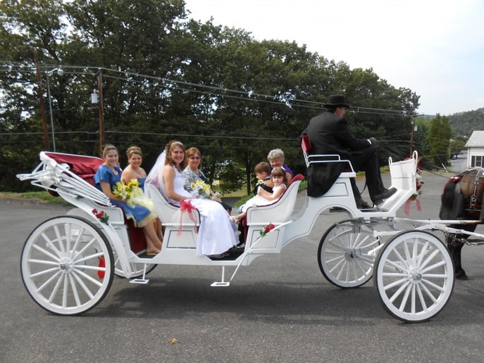 Gallery photo 4 of Running Springs Farm Horse Drawn Carriage Service