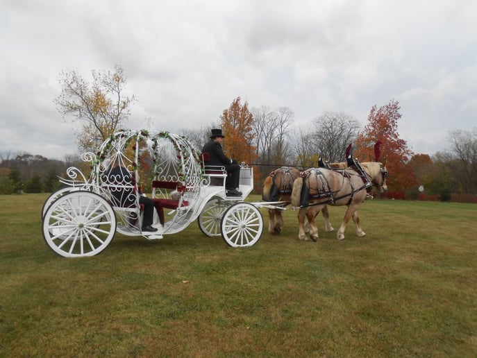 Gallery photo 6 of Running Springs Farm Horse Drawn Carriage Service