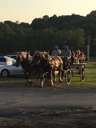 Gallery photo 2 of Running Springs Farm Horse Drawn Carriage Service