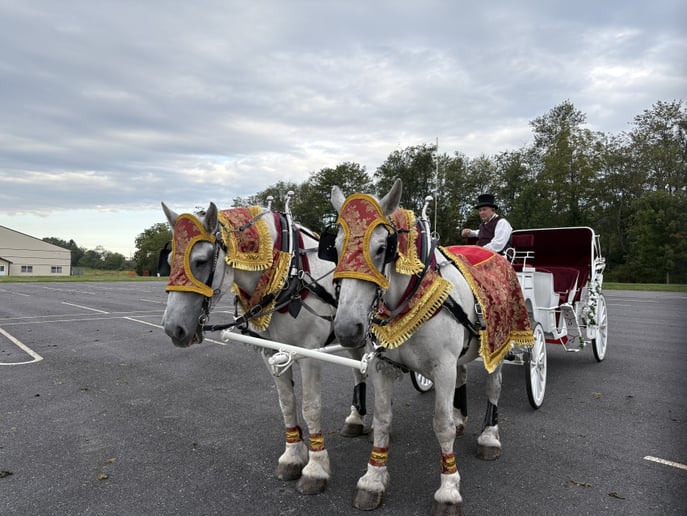 Gallery photo 7 of Running Springs Farm Horse Drawn Carriage Service