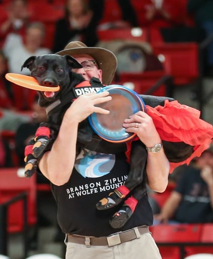 Gallery photo 2 of Russ and Diskey The Dynamic Disc Duo