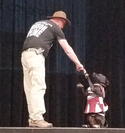 Gallery photo 4 of Russ and Diskey The Dynamic Disc Duo