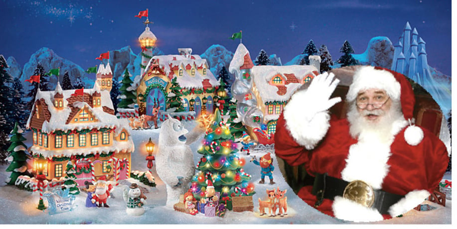 Gallery photo 1 of Santa Hank