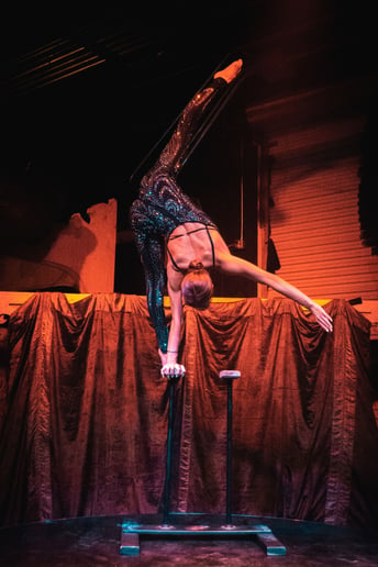 Gallery photo 1 of Sabotage Show - Tarzana