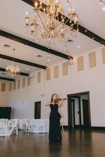 Gallery photo 2 of Sabrina Violin