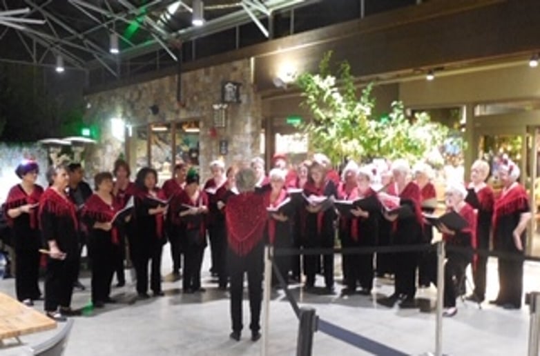 Gallery photo 2 of Sacramento Valley Chorus