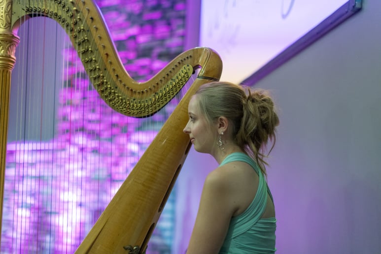 Gallery photo 6 of Sacred Strings