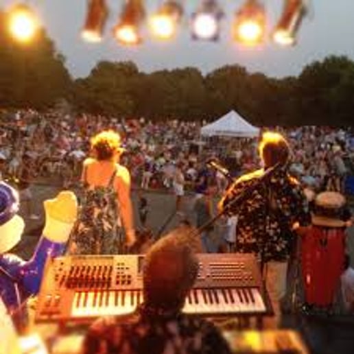 Gallery photo 9 of Saffire Express Band