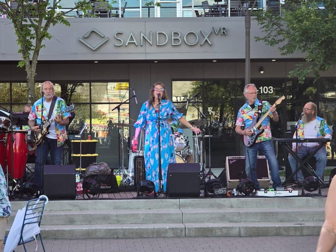 Gallery photo 4 of Saffire Express Band