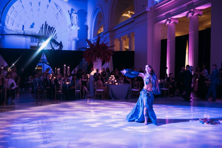 Gallery photo 5 of Safire Belly Dancers of Chicago