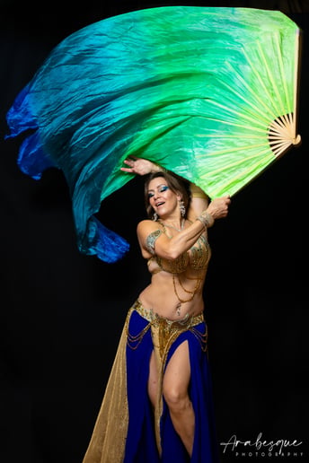 Gallery photo 3 of Safiya Nawaar Performing Artist