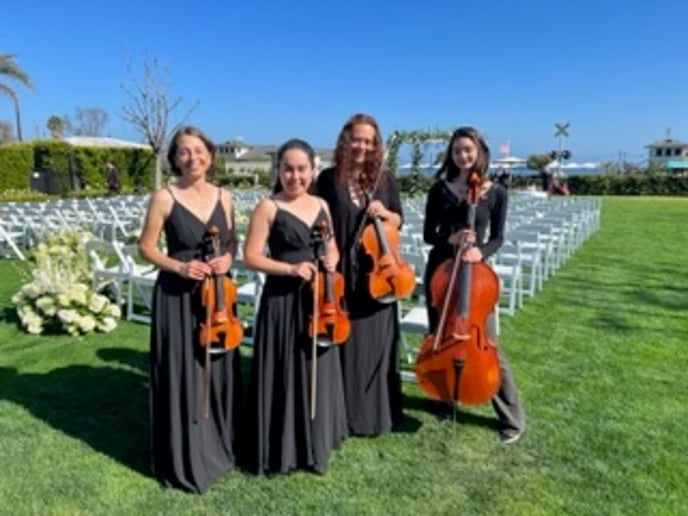 Gallery photo 3 of SAGE Strings
