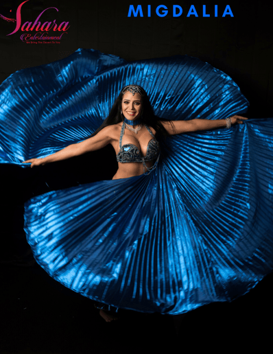 Gallery photo 3 of Sahara Entertainment Orlando