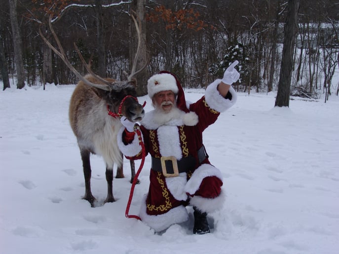 Gallery photo 3 of STL Santa
