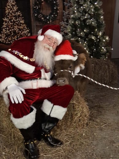 Gallery photo 1 of Santa MikeEllis