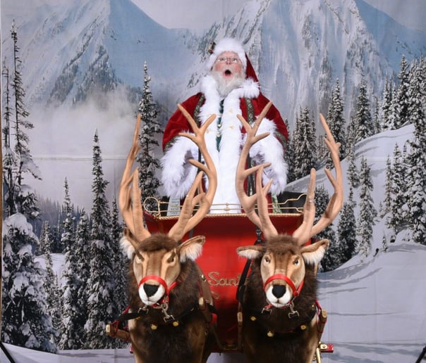 Gallery photo 3 of Saint Nick Enterprises LLC