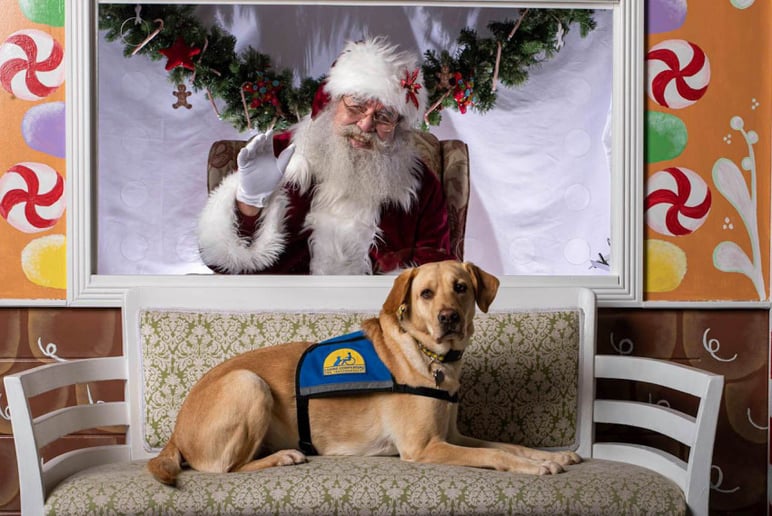 Gallery photo 16 of Singing Santa and Mrs Claus