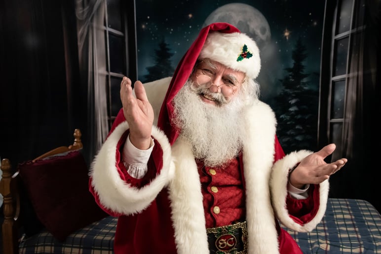 Gallery photo 1 of Singing Santa and Mrs Claus