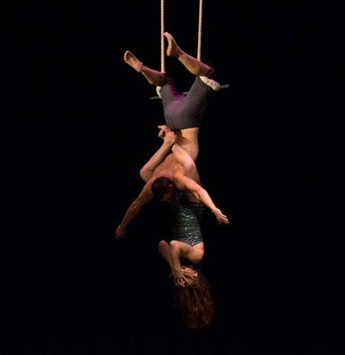 Gallery photo 4 of Salida Circus