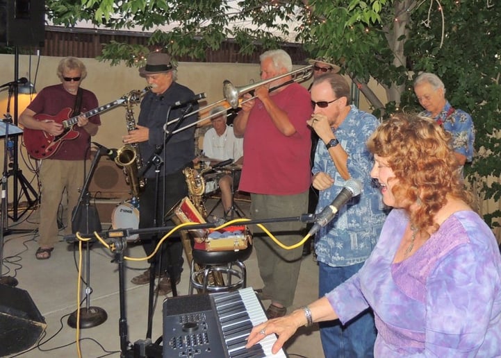 Gallery photo 1 of Sally Townes Band