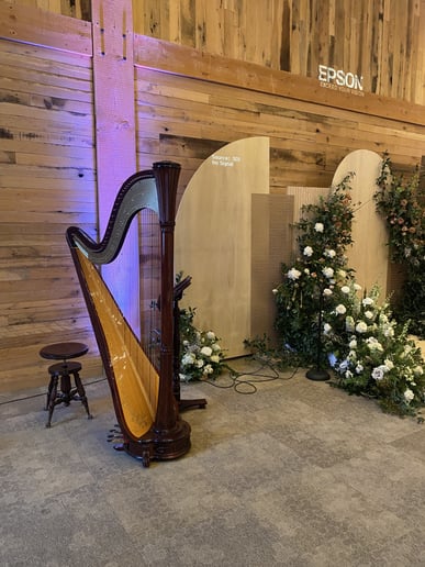 Gallery photo 2 of Salt Lake Harpist