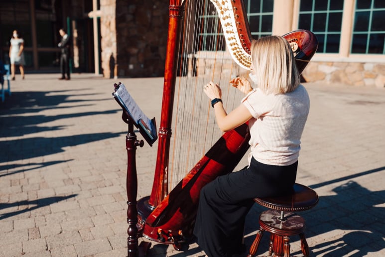 Gallery photo 4 of Salt Lake Harpist