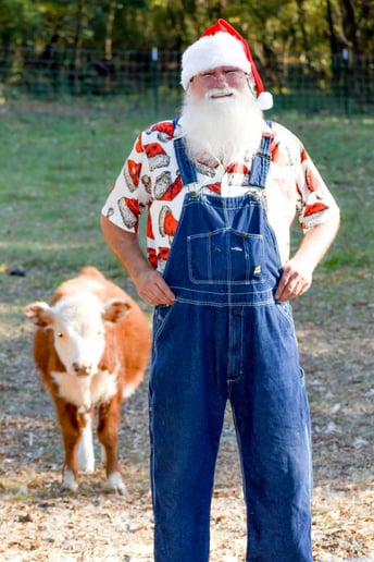 Gallery photo 11 of Jolly Santa Jerry