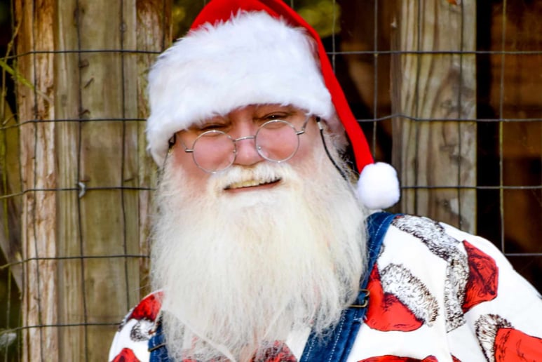 Gallery photo 12 of Jolly Santa Jerry
