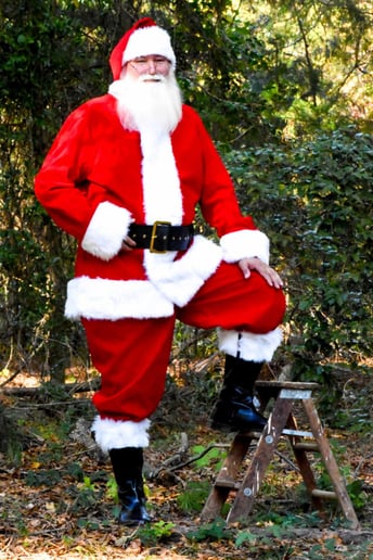 Gallery photo 14 of Jolly Santa Jerry
