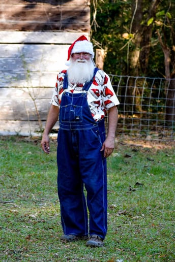 Gallery photo 15 of Jolly Santa Jerry