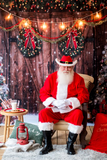 Gallery photo 6 of Jolly Santa Jerry
