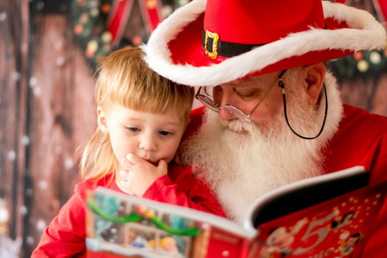 Gallery photo 8 of Jolly Santa Jerry