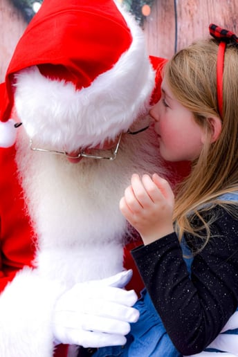 Gallery photo 28 of Jolly Santa Jerry