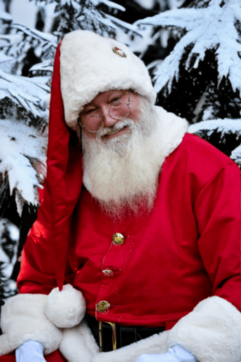 Gallery photo 3 of Jolly Santa Jerry