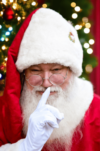 Gallery photo 31 of Jolly Santa Jerry