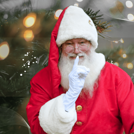 Gallery photo 32 of Jolly Santa Jerry