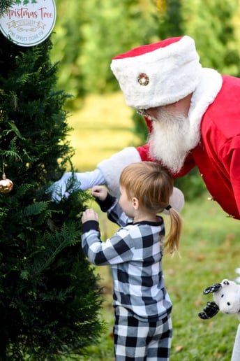 Gallery photo 35 of Jolly Santa Jerry