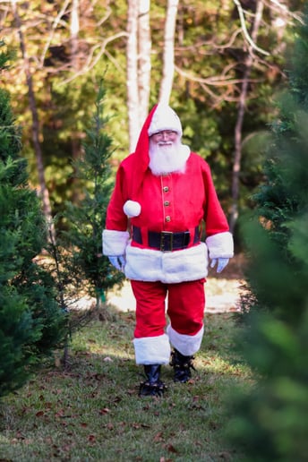 Gallery photo 36 of Jolly Santa Jerry