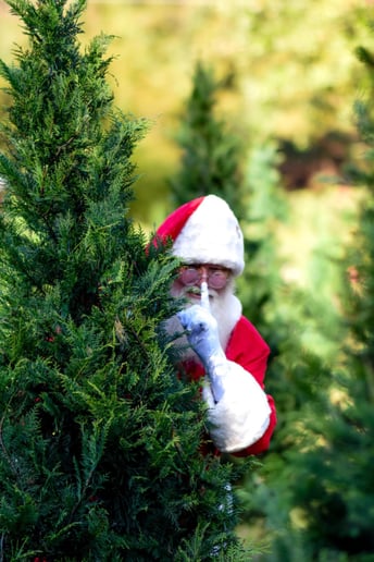 Gallery photo 37 of Jolly Santa Jerry