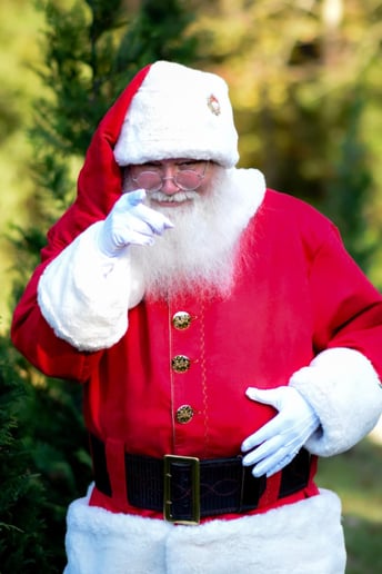 Gallery photo 40 of Jolly Santa Jerry