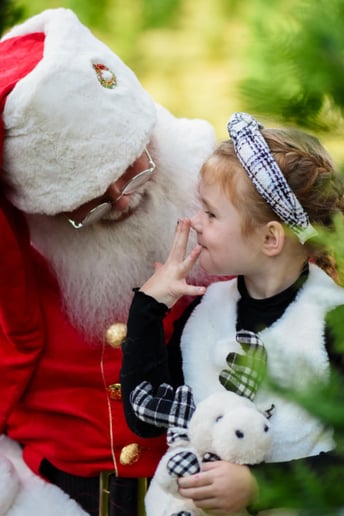 Gallery photo 42 of Jolly Santa Jerry