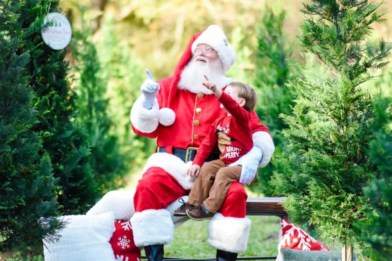 Gallery photo 44 of Jolly Santa Jerry