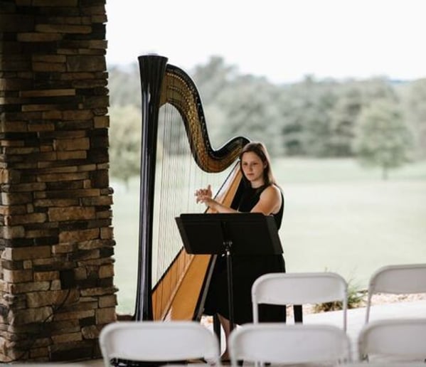 Gallery photo 2 of Samara Egan - harpist in Pittsburgh, PA